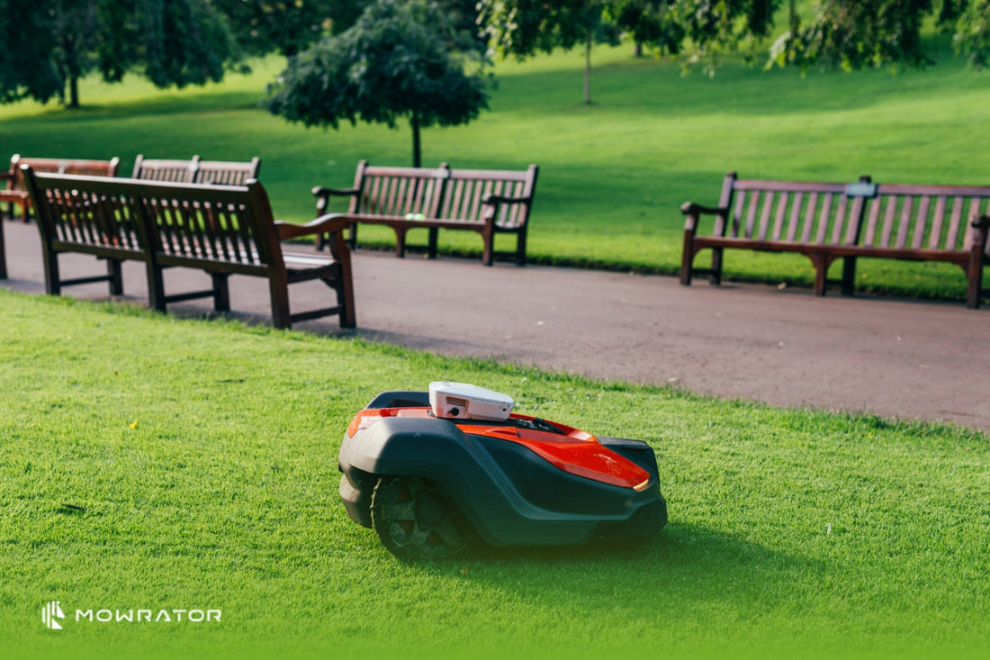 How Often Should a Robotic Lawn Mower Mow?