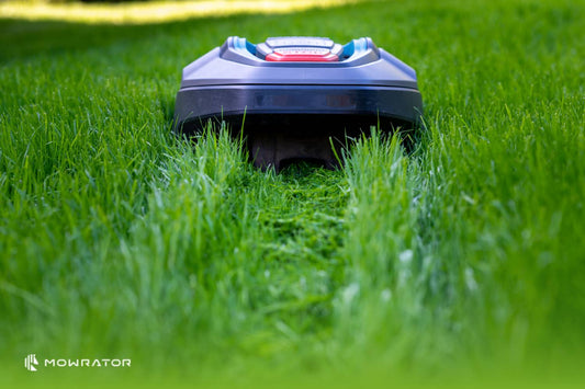 How to Use an Electric Lawn Mower
