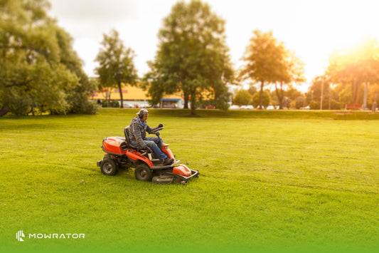 How to Remove Dead Grass from Your Lawn