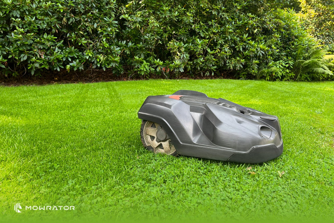 Robot Lawn Mowing Business