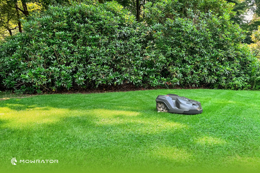 The Best Commercial Robotic Lawn Mowers