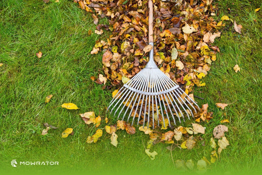 When to Stop Mowing your Lawn in Fall?