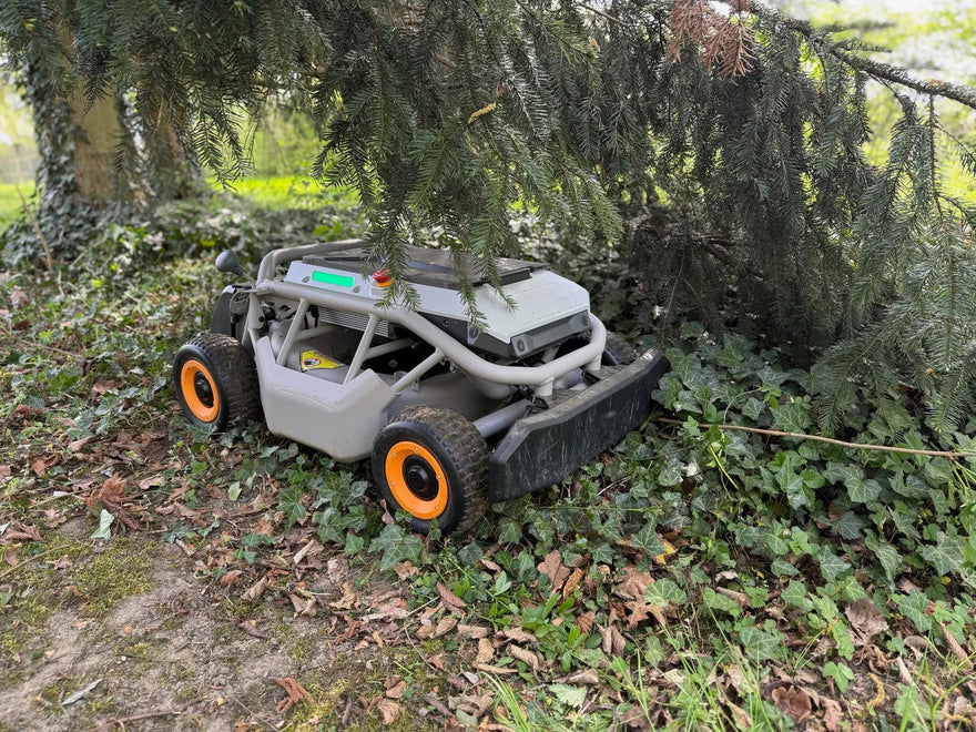Mowrator remote control grass cutter with orange wheels navigating ivy and fallen leaves under a pine tree