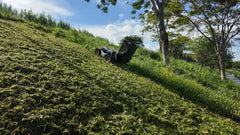 Mowrator remote control lawn mower with collection bag ascending steep grassy slope near trees under blue sky