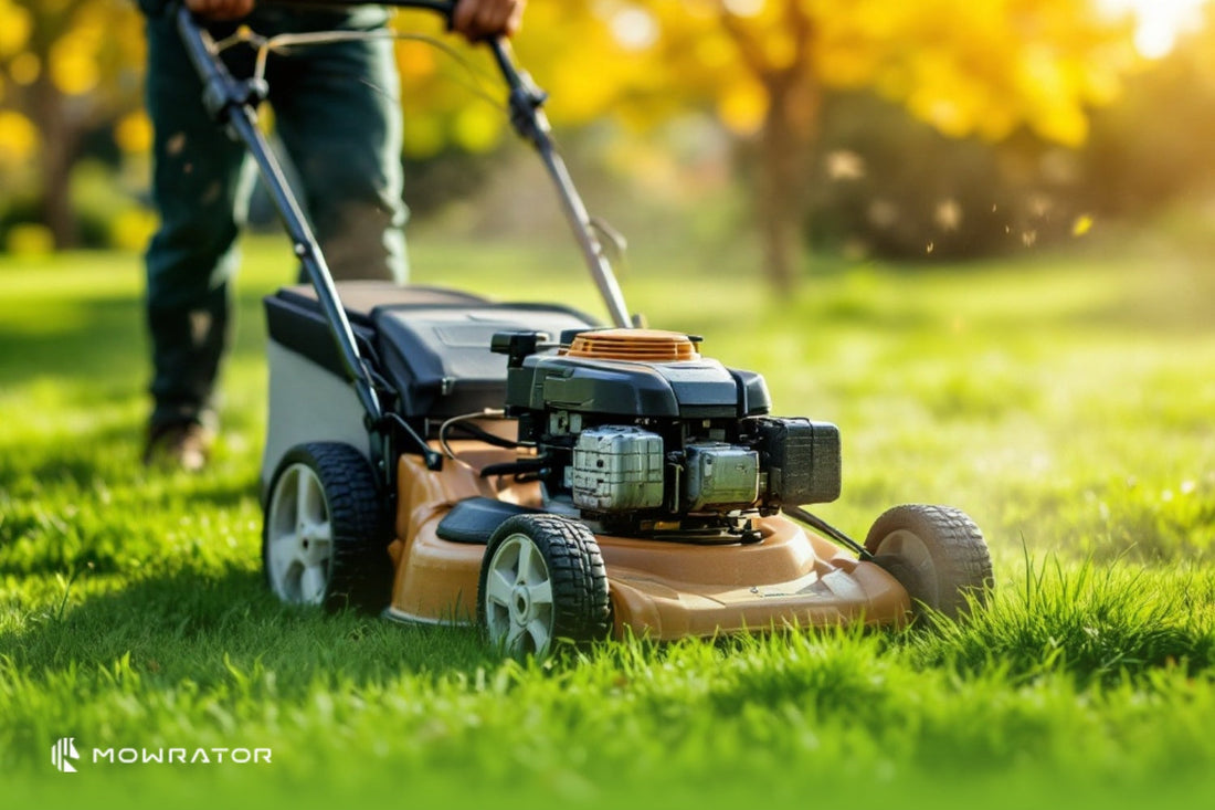 How Often Should I Mow The Lawn