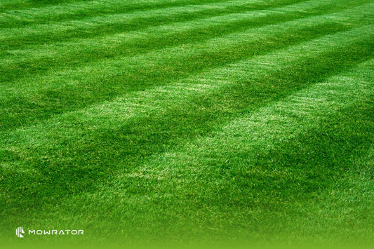 How much does it Cost To Mow 1 Acre? | 2025 Lawn Mowing Costs