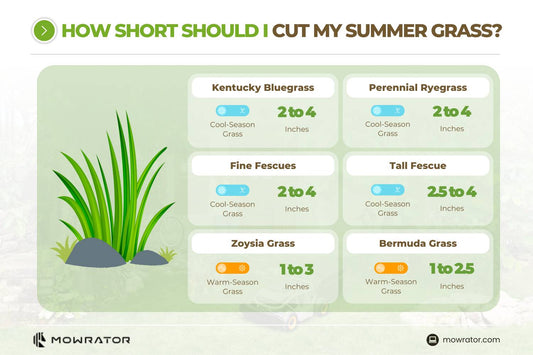 What Height Should Grass Be Cut In Summer?