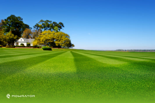 How to Stripe Your Lawn | How to Mow Stripes in Your Lawn Easily