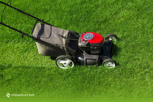 How to Winterize your Lawn Mower