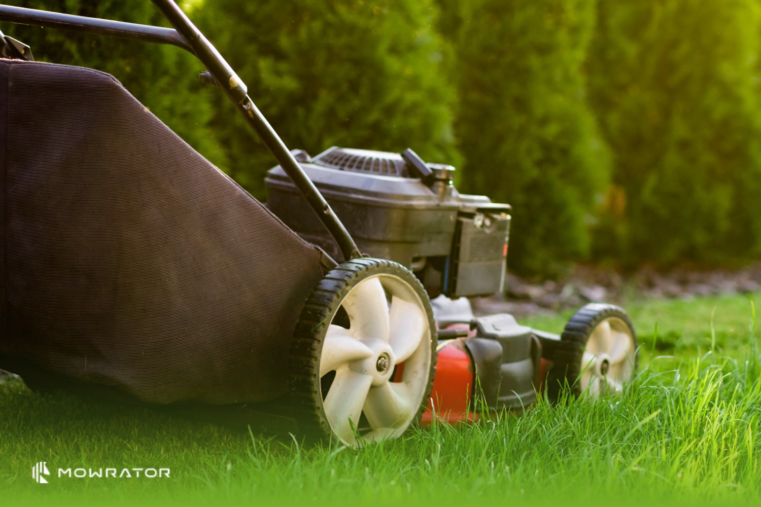 Push vs. Self-Propelled Mowers - A Buyer's Guide – MOWRATOR