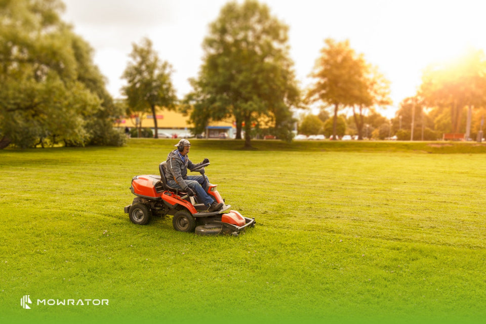 How to Remove Dead Grass from Your Lawn