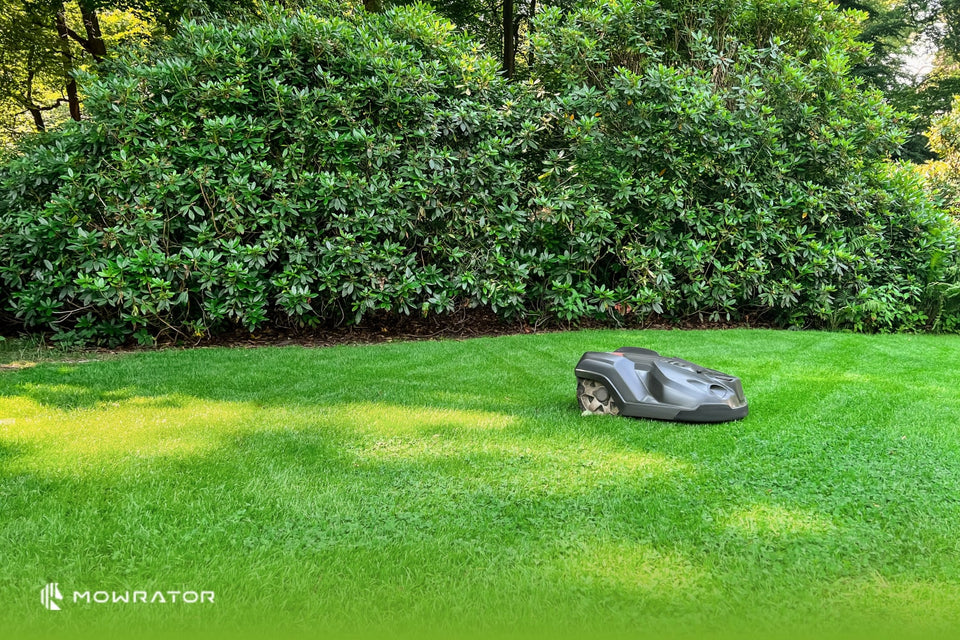 The Best Commercial Robotic Lawn Mowers