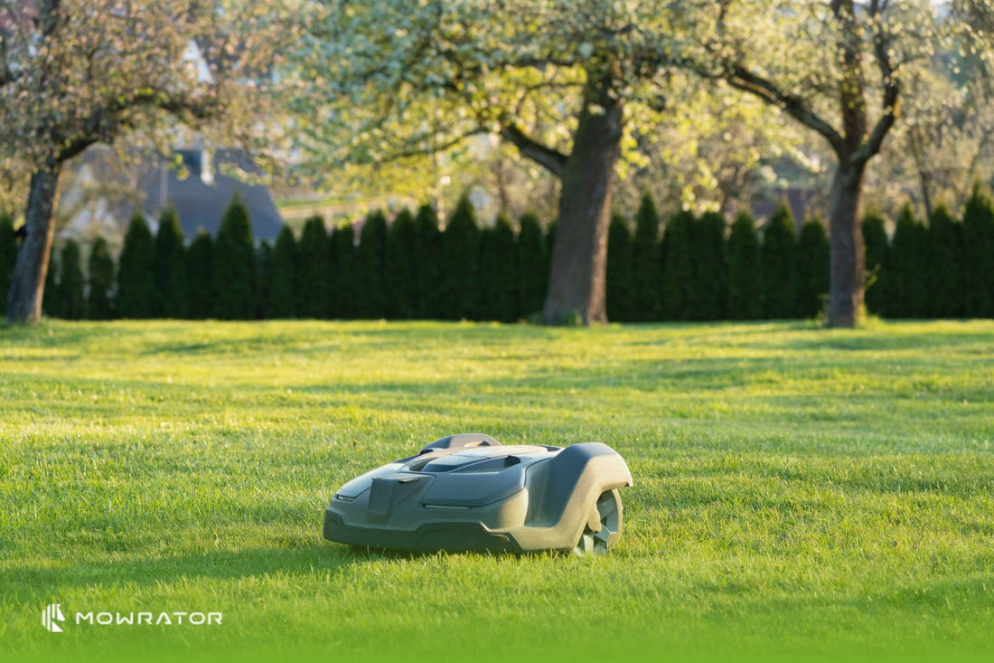 What are the Quietest Lawn Mowers?