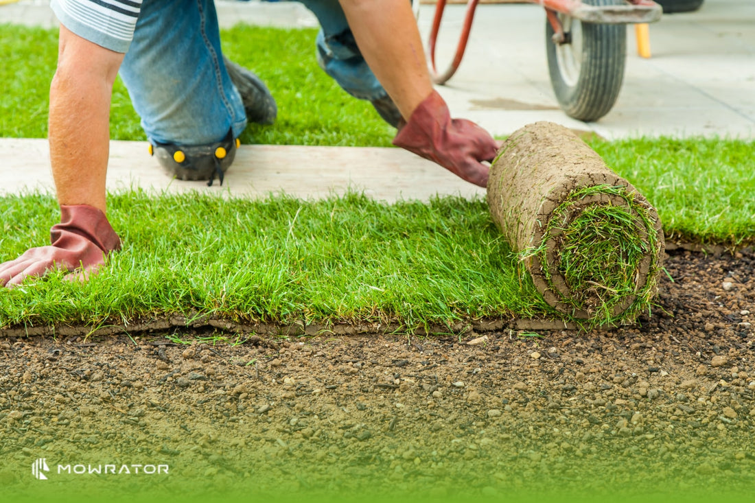 When to Mow New Sod - New Sod Care Tips, Fertilize & Watering