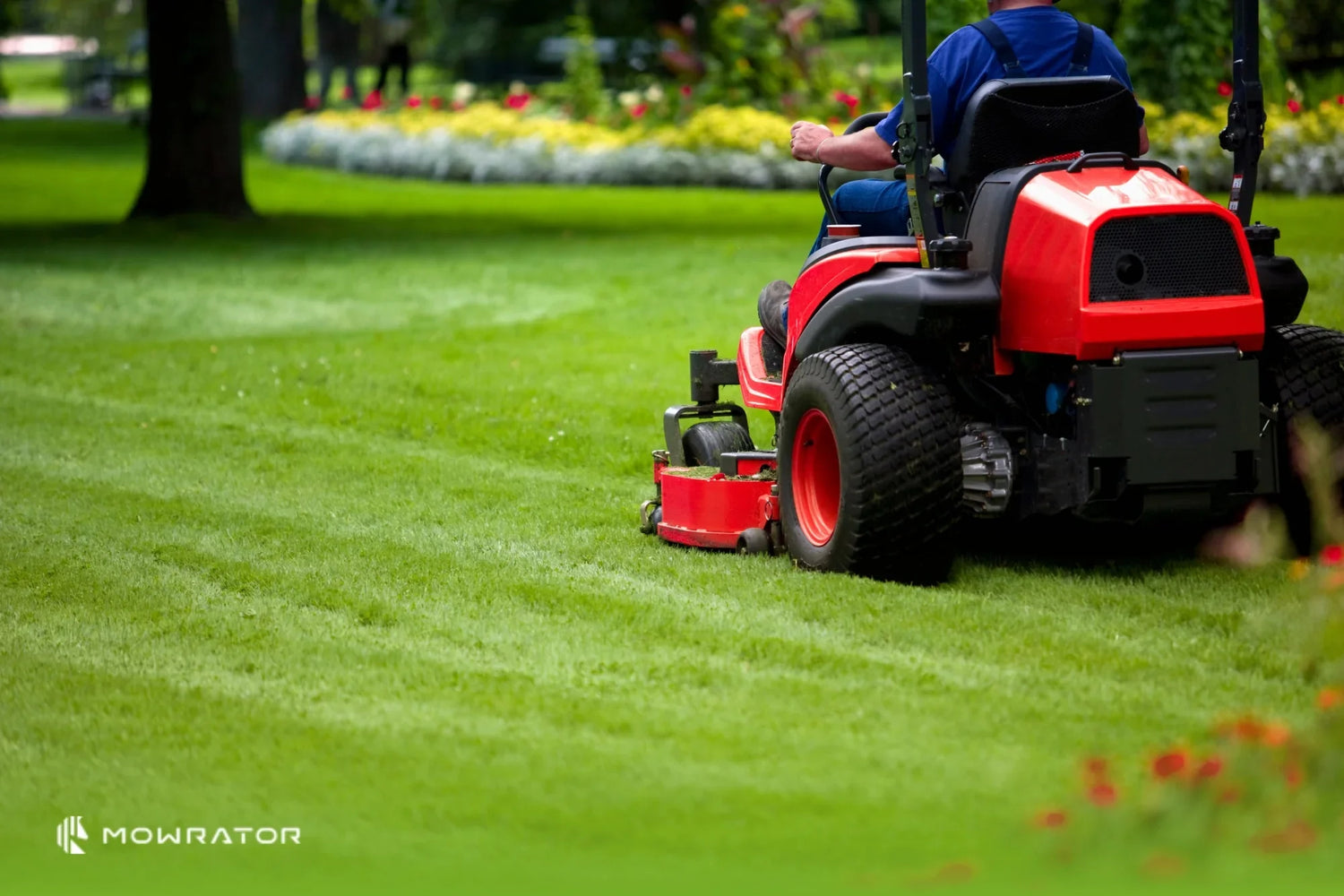 Best Electric Lawn Mower For Small Yard