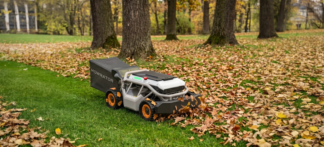 Heavy Leaf Cleanup Made Simple