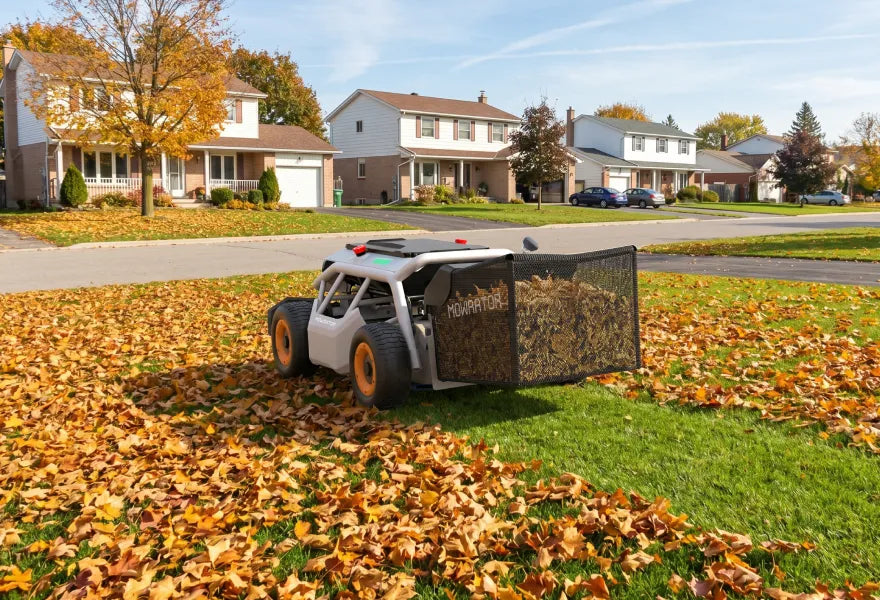 Leaf Collection