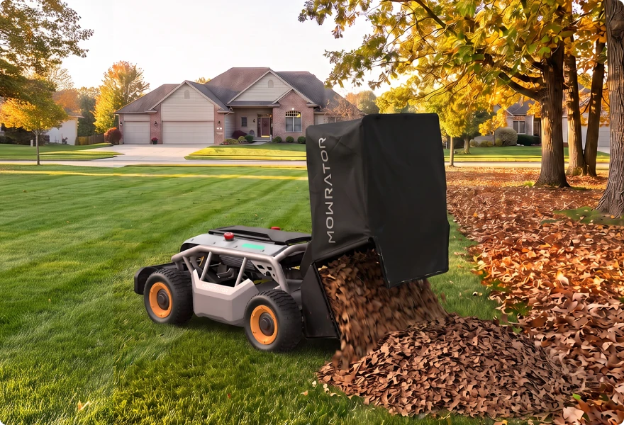 Auto Dumping