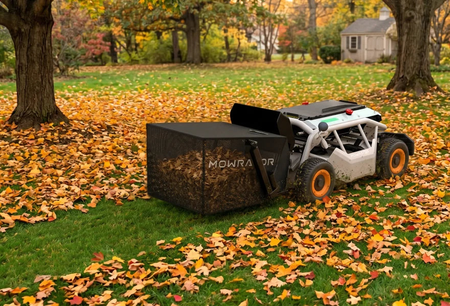 Leaf Collection