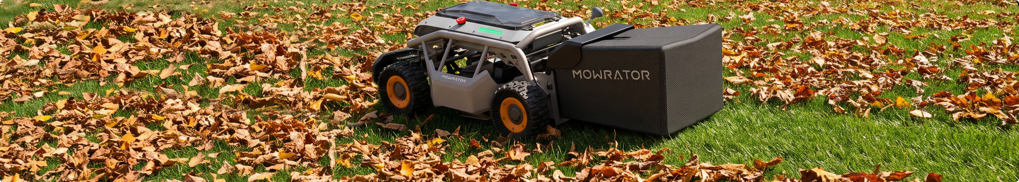 Mow, Mulch, Clear Leaves On Slopes