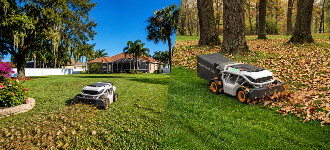Mulch Or Collect — You Choose