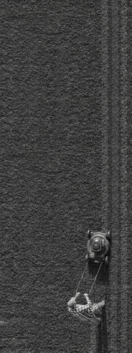 Left comparison image