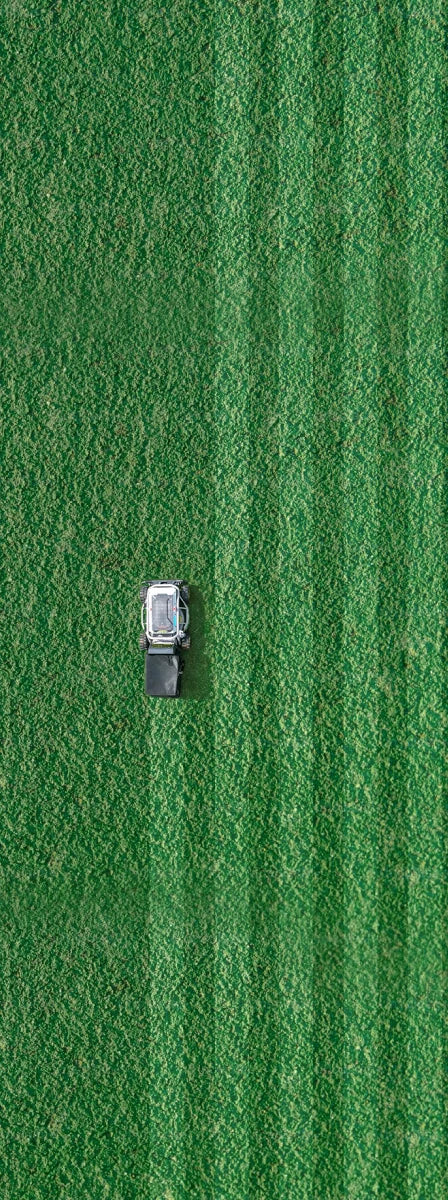 Center comparison image