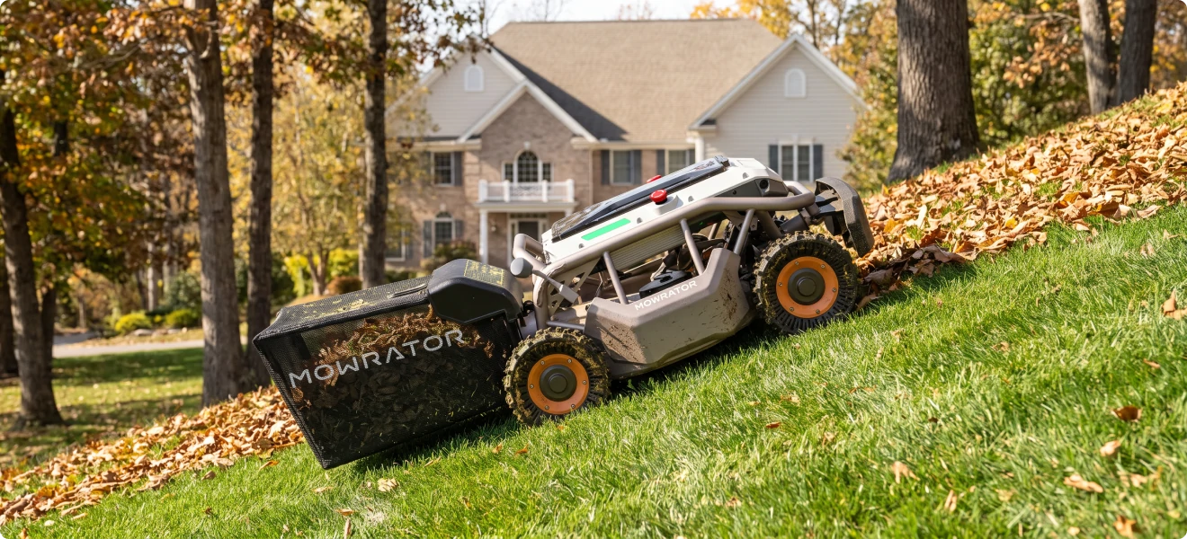 Steep Slope Leaf Cleanup