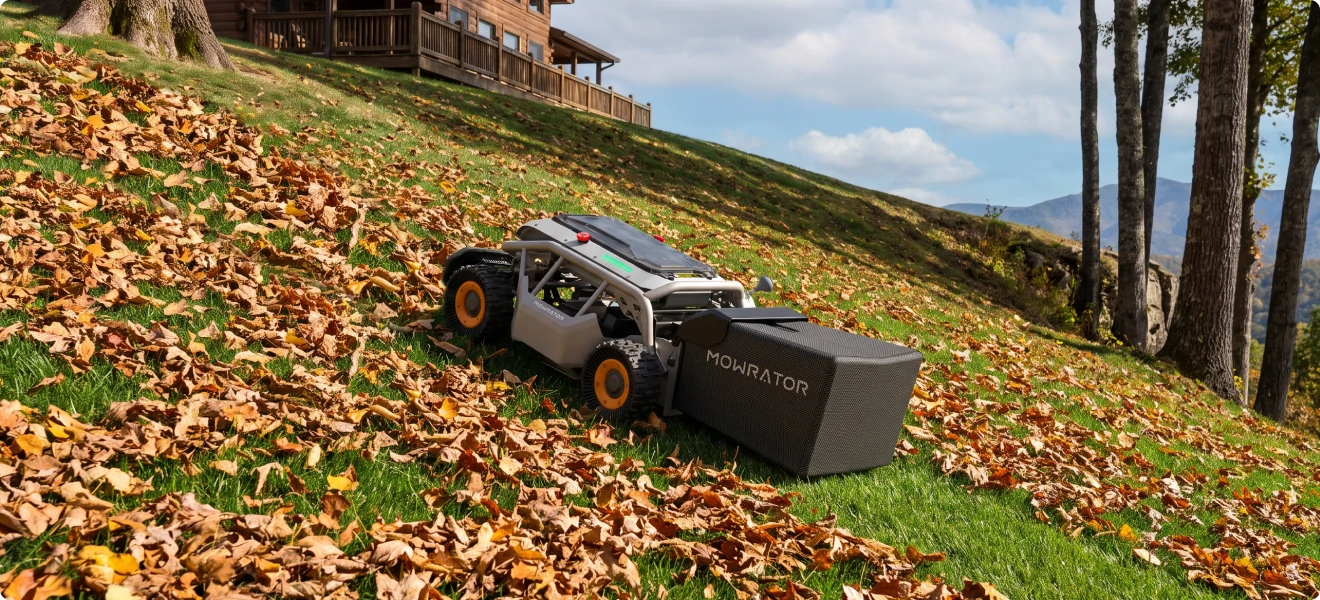 Steep Slope Leaf Cleanup